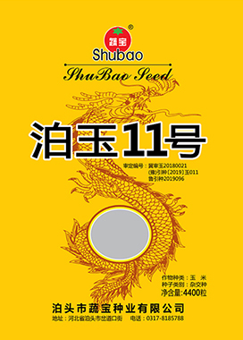 玉米種子